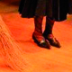 Galerie 1,2, 3 Coloradabra